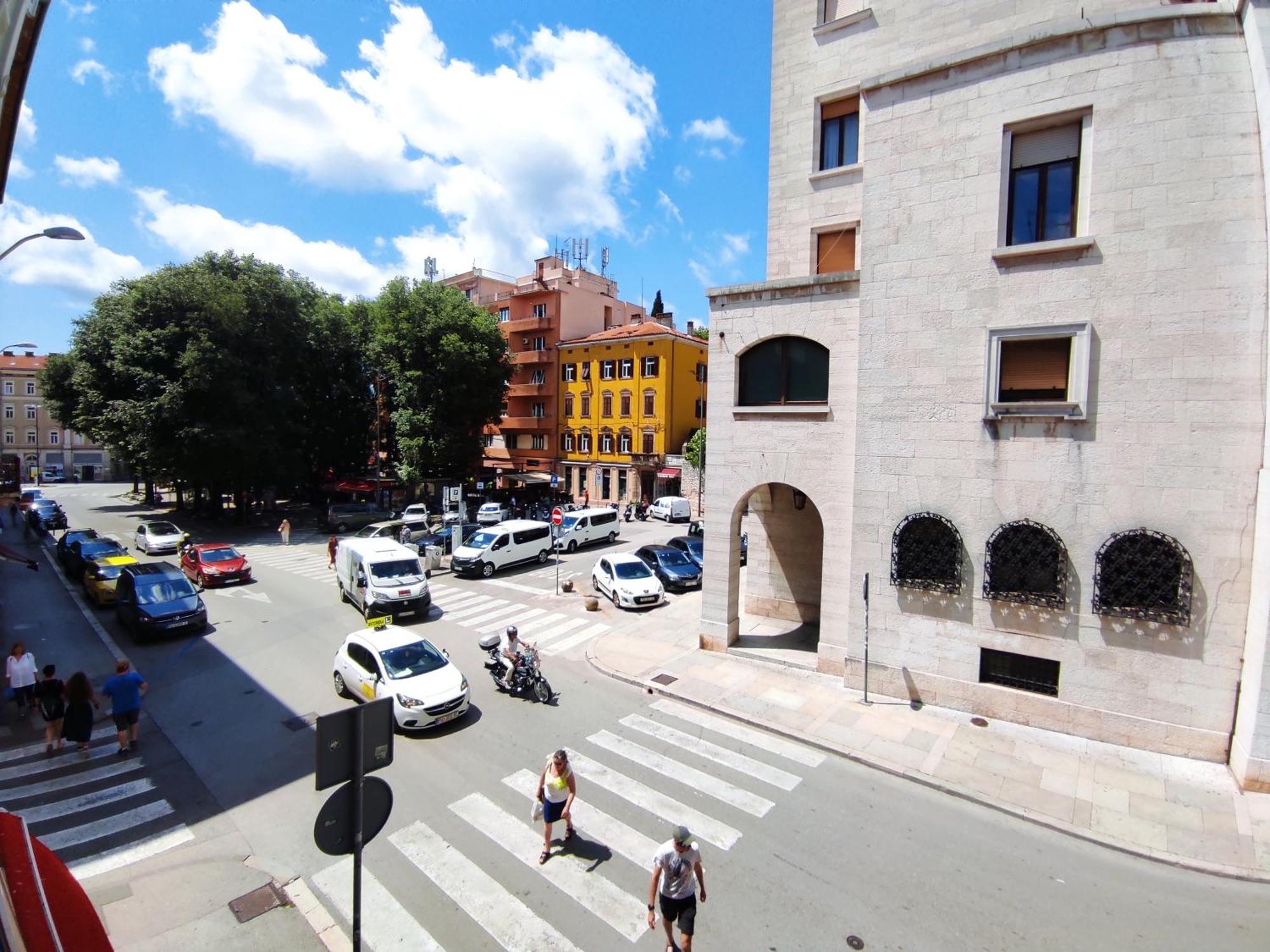 Papavero Pula